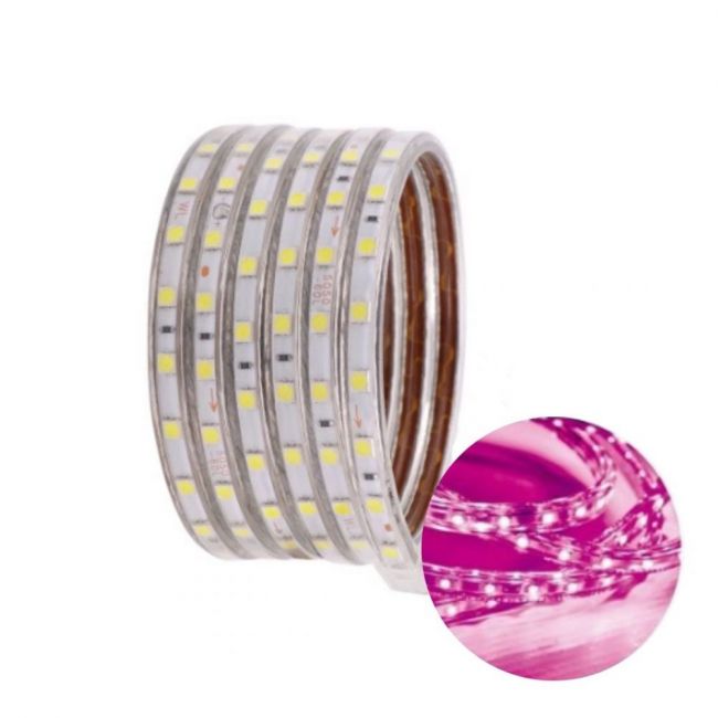 FITA LED 5050 6MM ROSA POR METRO 127V 60 LEDS/M 